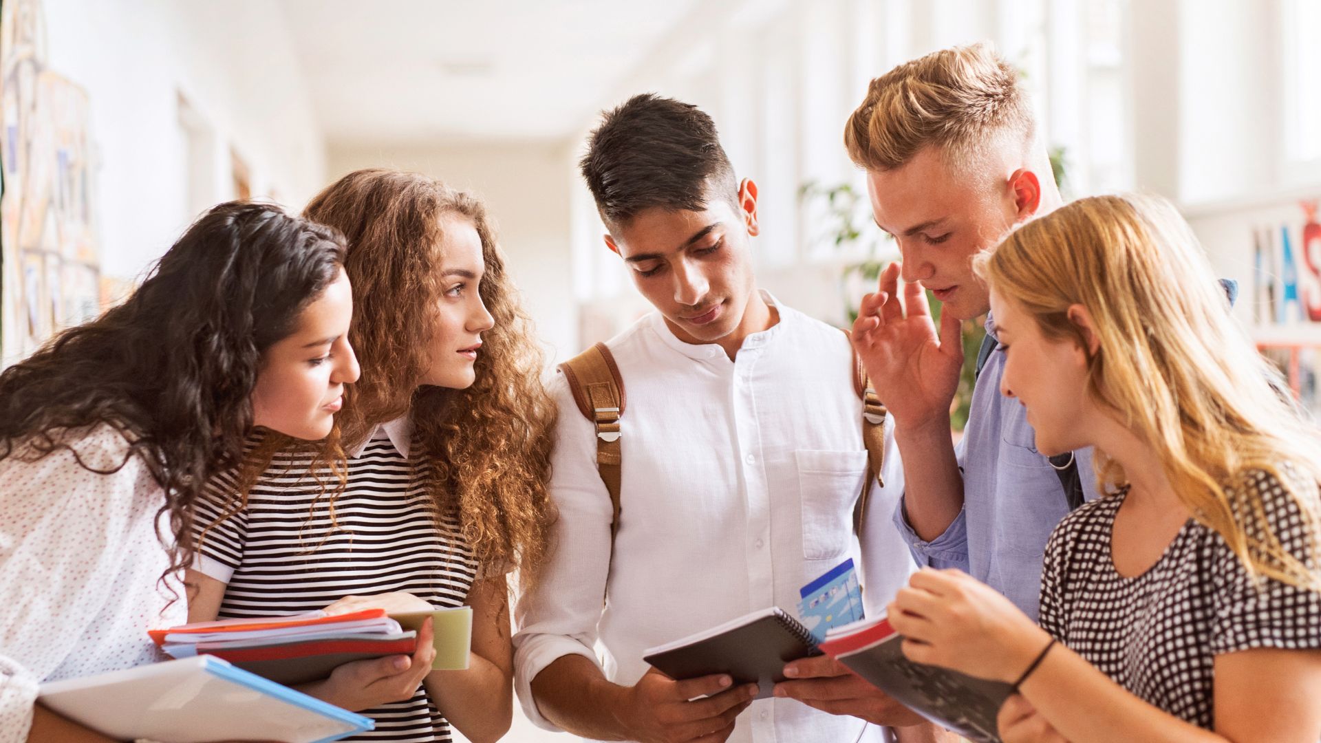 A group of LLB students comparing notes with each other
